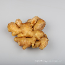 China export natural organic ginger